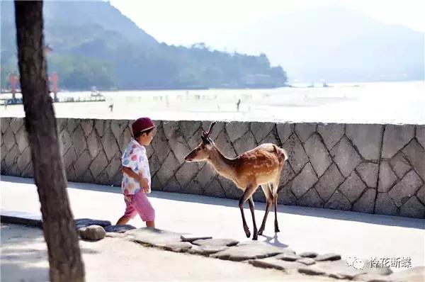 暑假如何玩转邮轮,暑假怎么玩儿