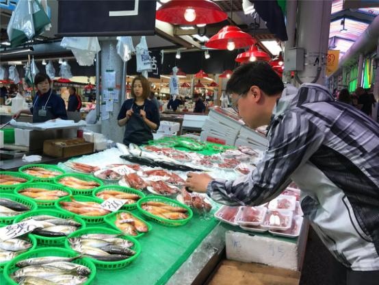 美食，美酒与美景-日本中北部升龙道深度游攻略（二）