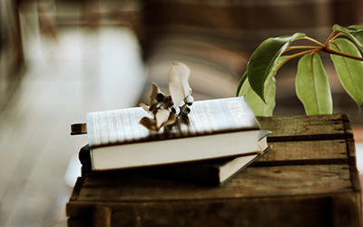 书发霉了怎么彻底去异味,如何防止书本发霉