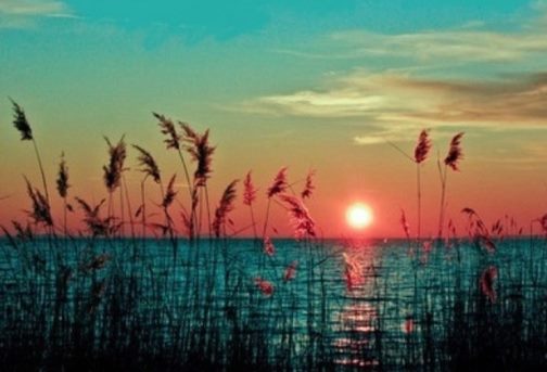 有文字的背景图正能量,正能量意境文字图片