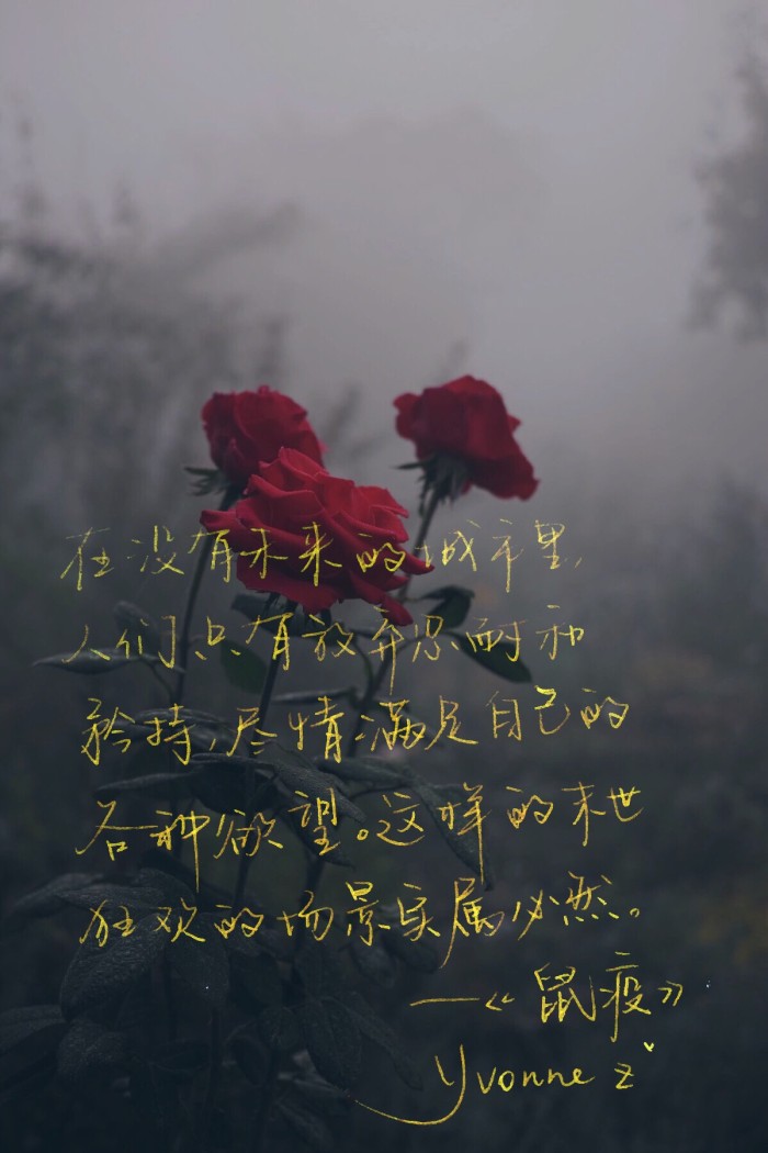 我喜欢在故事里旅行，终遇你忠于你