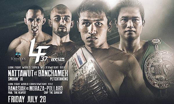 狮王大战母狮完整版,狮王争霸102集完整版免费