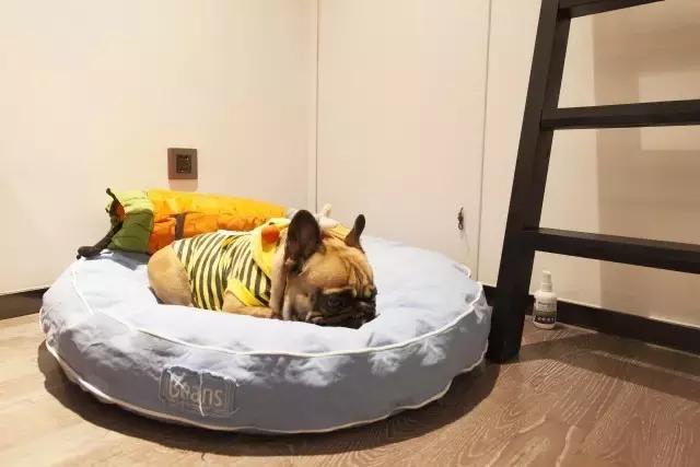 36㎡打造乐活居,你什么样,生活就什么样!