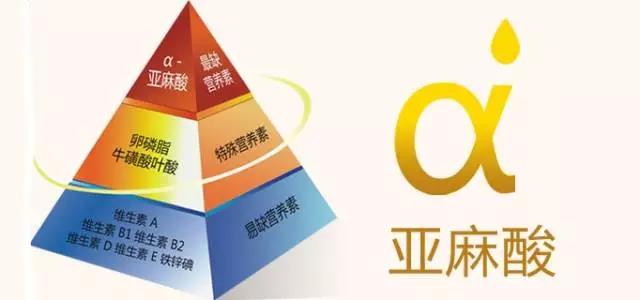 心梗突然晕倒怎么急救,梗住了是什么意思