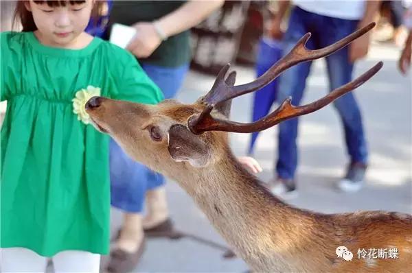 暑假如何玩转邮轮,暑假怎么玩儿