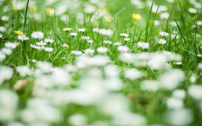 赖世雄中级美语教程第一课,赖世雄美语学习流程