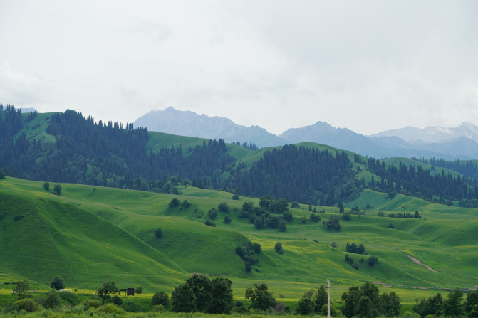 感受大西北的异域风情环疆游结束,南北疆深度游北疆进入南疆