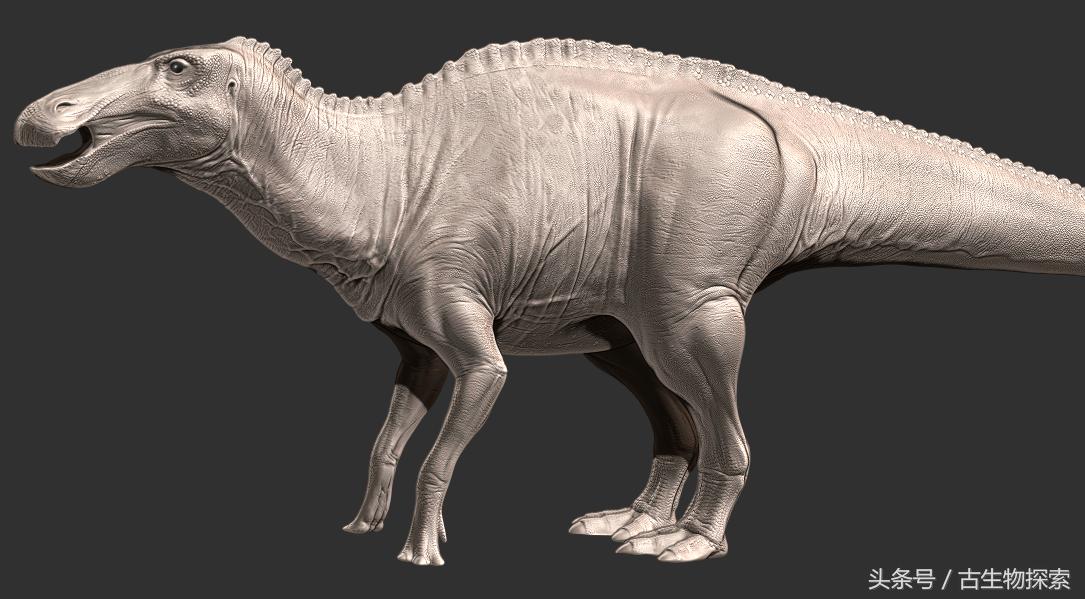 白垩纪的超级鸭嘴龙类，比霸王龙还要大！