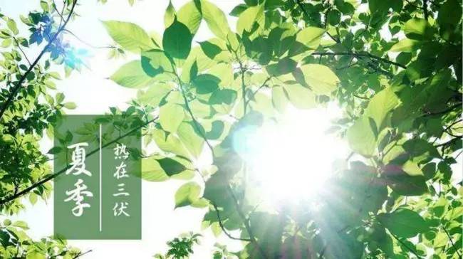 夏天宝宝中暑应该怎么做,夏季孩子中暑症状