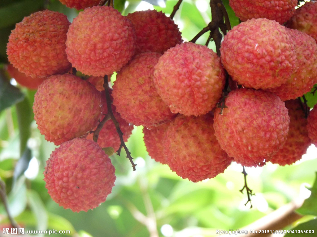 育儿便秘怎么办,积食便秘育儿课堂