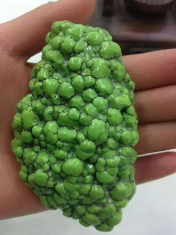 湖北松菌最多的地方,湖北松是什么意思