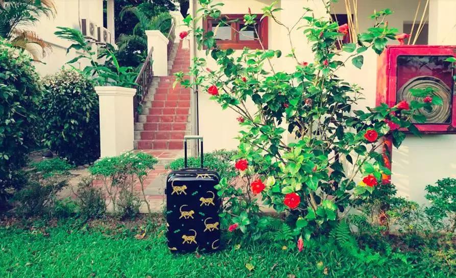 买到不好看的行李箱怎么办,想买个行李箱不知买什么牌子的好