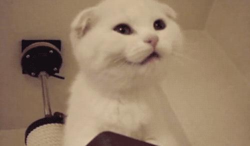 扎嘴了,汕头的老铁!“么么哒”被女性胡须扎到是什么体验?