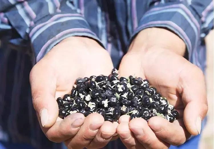 90后女生回到家乡创业,90后姑娘只身创业打拼