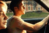 爱车被动物入侵怎么办,爱车被狗咬坏怎么办