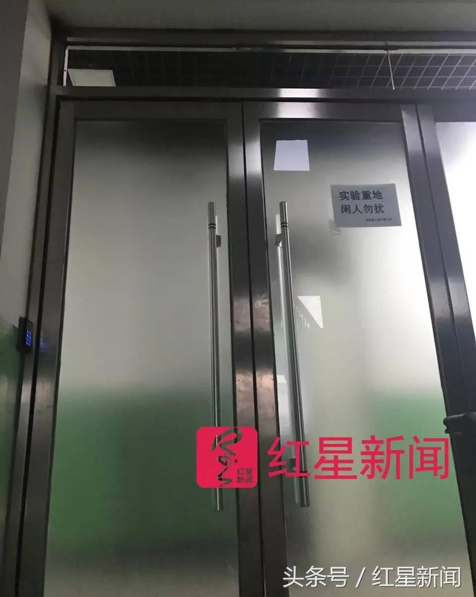 韩春雨基因工具学什么,韩春雨基因编辑技术