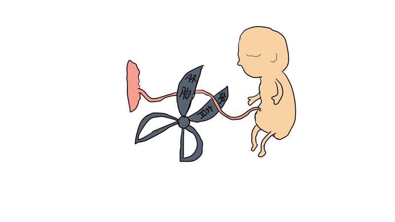 孕早期出血不要惊慌,孕16周胎盘出血能打黄体酮保胎么