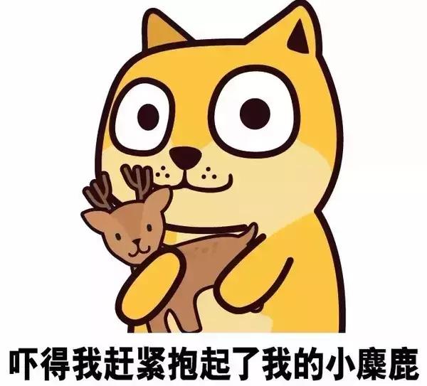 gucci图案抱枕,听说gucci出了宠物系列的单品