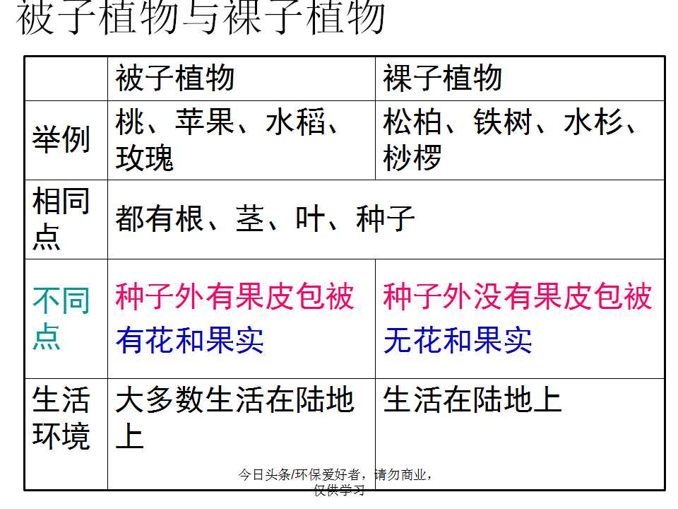 认识植物从身边开始,认识植物的根茎叶各个部分