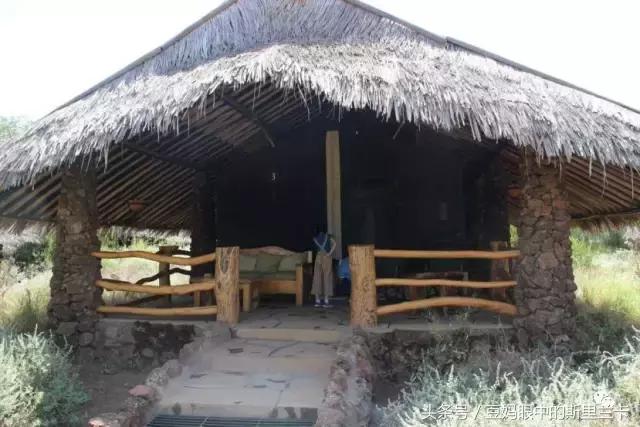 风动？树动？心动！致你，Kenya