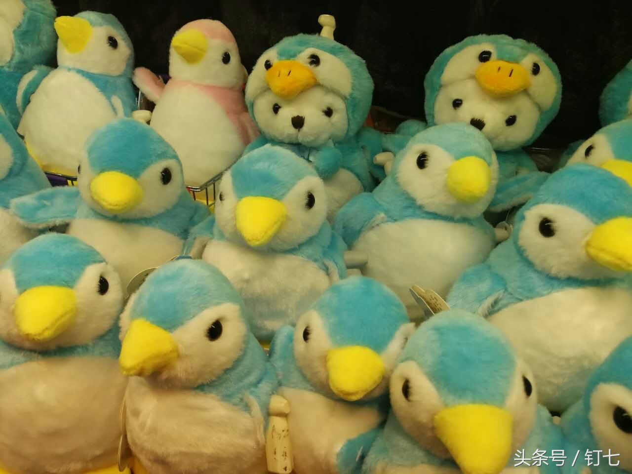 夏天与海绝配,夏天与海洋更配的图片