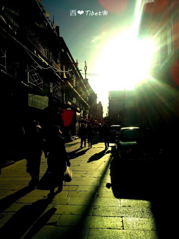 奥古斯都,August的格桑花秘境：我养你！带你去*藏西**啊！