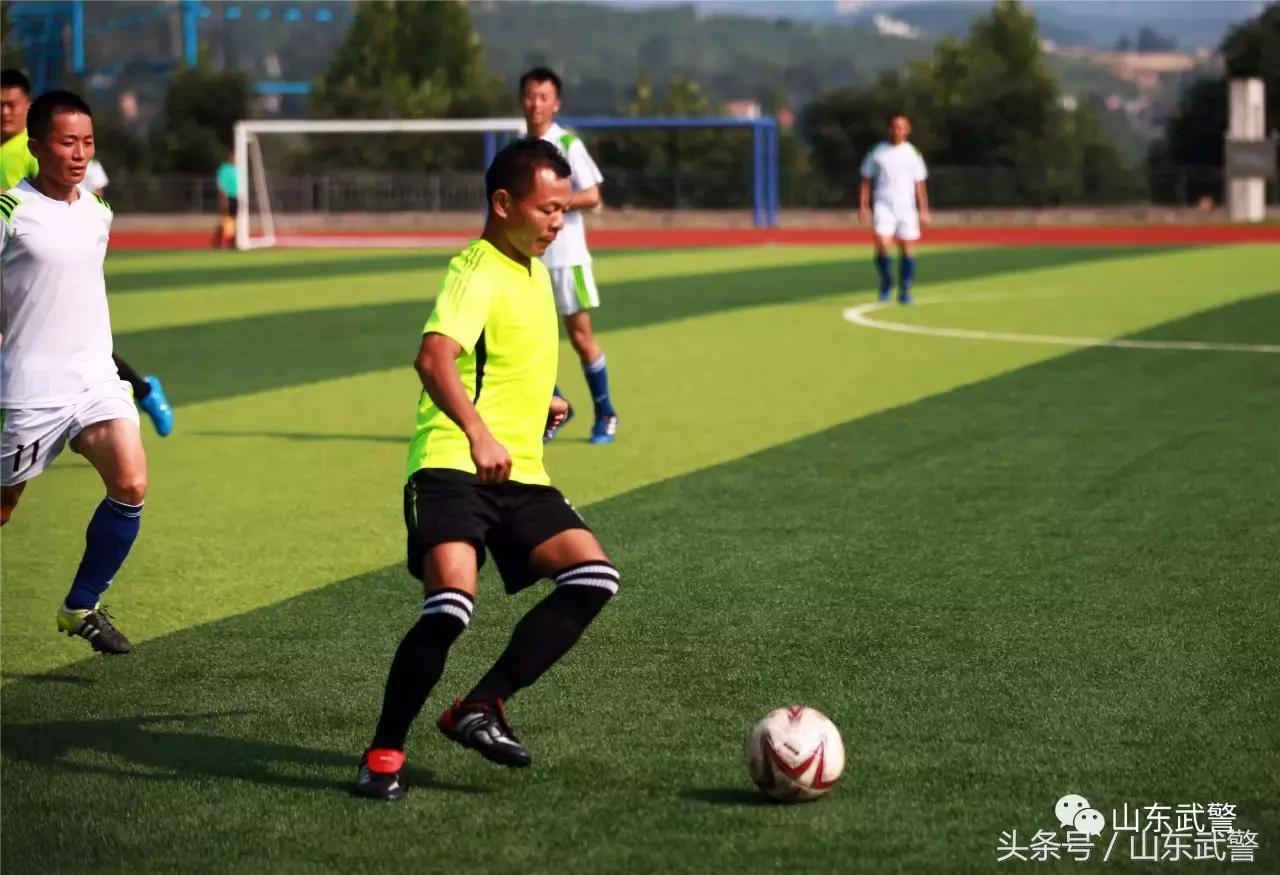 卫士动力升级后效果,卫士动力数据