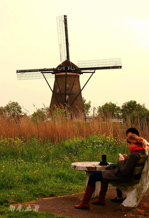 荷兰现在能不能去,什么时候不能去荷兰