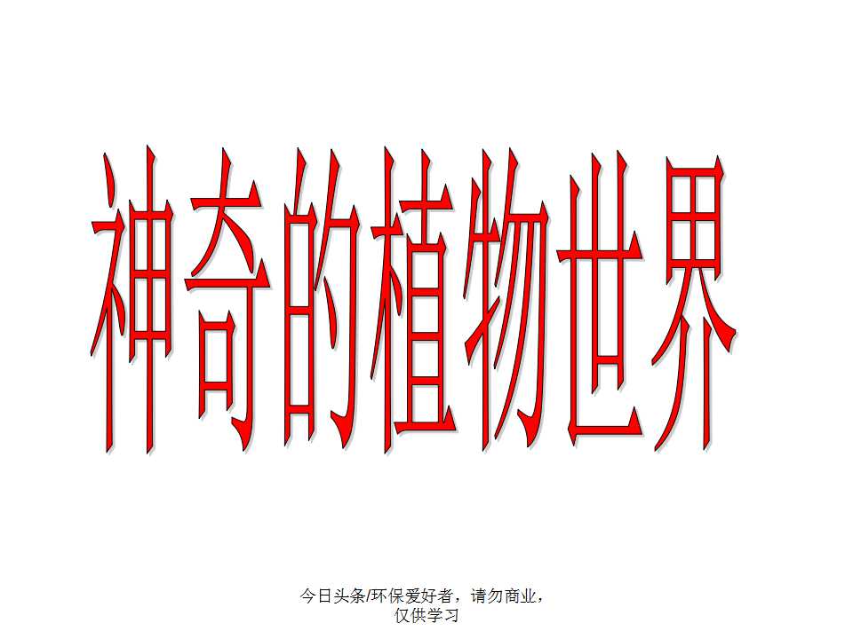 认识植物从身边开始,认识植物的根茎叶各个部分