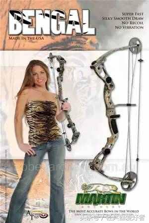 “*博兰**之牙到铁血战士”现代弓箭们的电影传奇