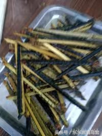 画眉鸟换毛期间可以洗澡吗,画眉鸟换毛期喂什么料最好