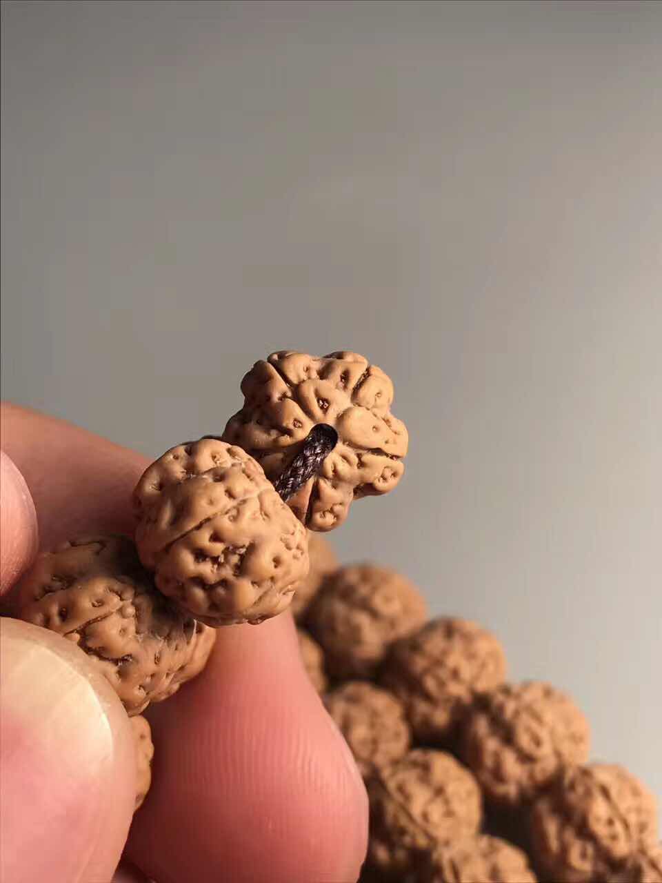 史上最全的小金刚菩提子介绍,再也不用担心被忽悠了!