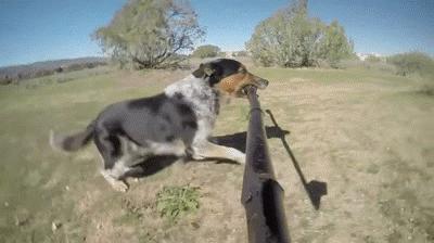 朋友圈哪些人最让人反感,朋友圈什么类型最特别