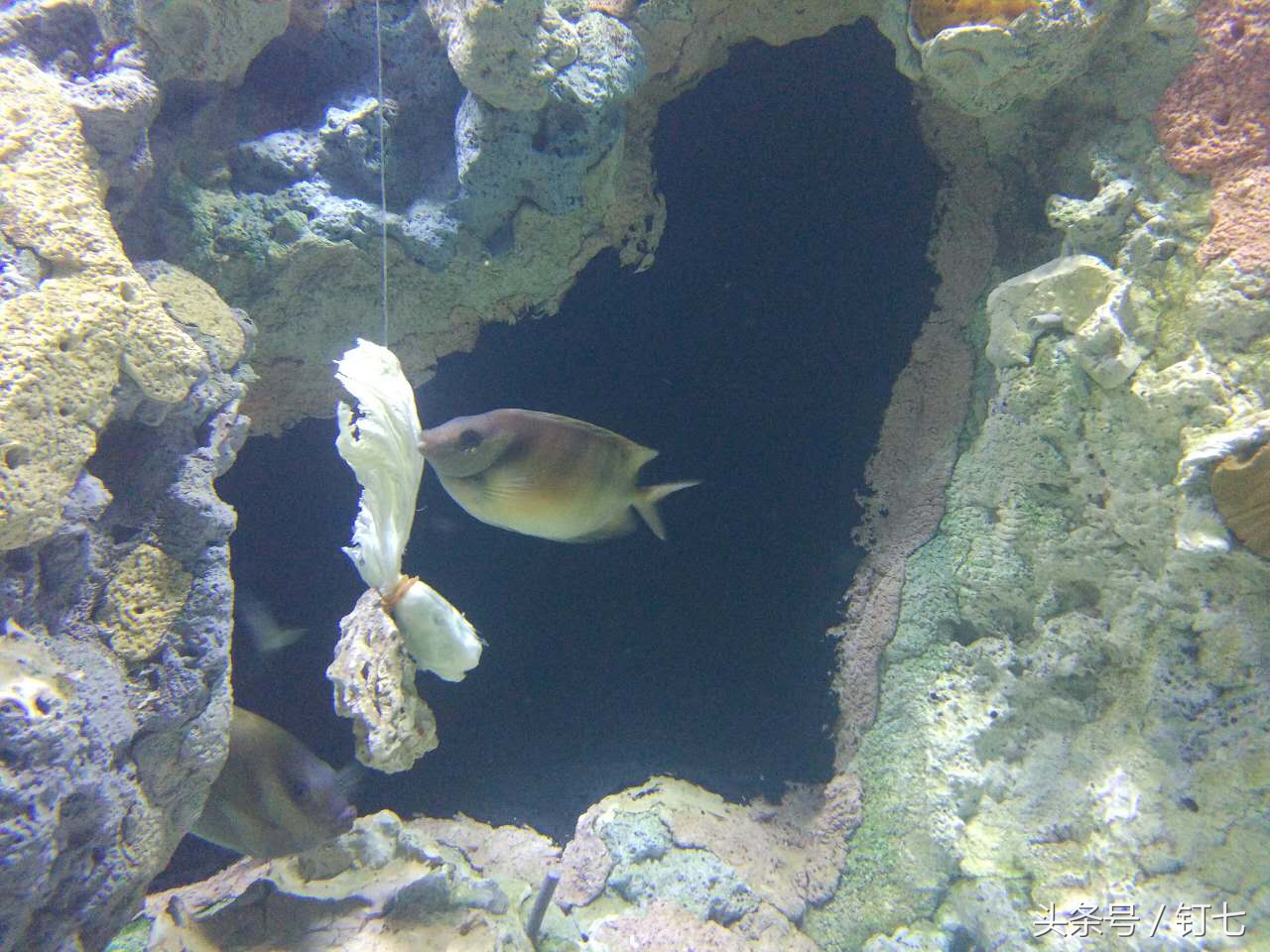 夏天与海绝配,夏天与海洋更配的图片