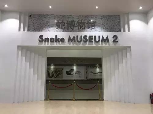 一路向北浪漫美丽的夏季,一路向南从冬天到夏天