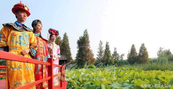 滕州微山湖红荷湿地灯光秀,20届滕州微山湖红荷湿地开幕式