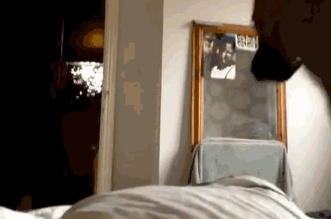 汪星人叫声集锦,汪星人打歌