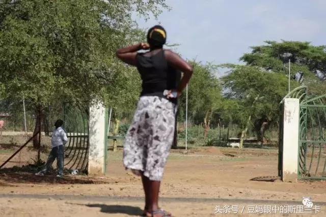 风动？树动？心动！致你，Kenya