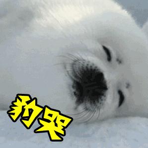 这些搞怪零食你吃过几样,这些奇奇怪怪的零食你吃过吗