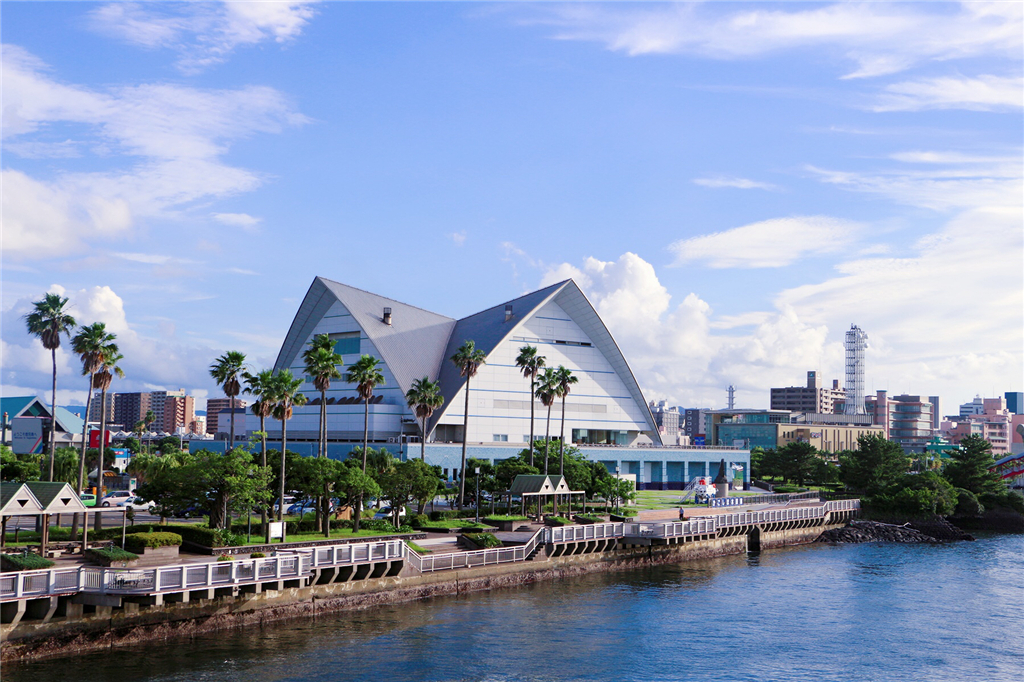 丽星邮轮8天7晚自由行攻略,丽星邮轮双子星号日本攻略