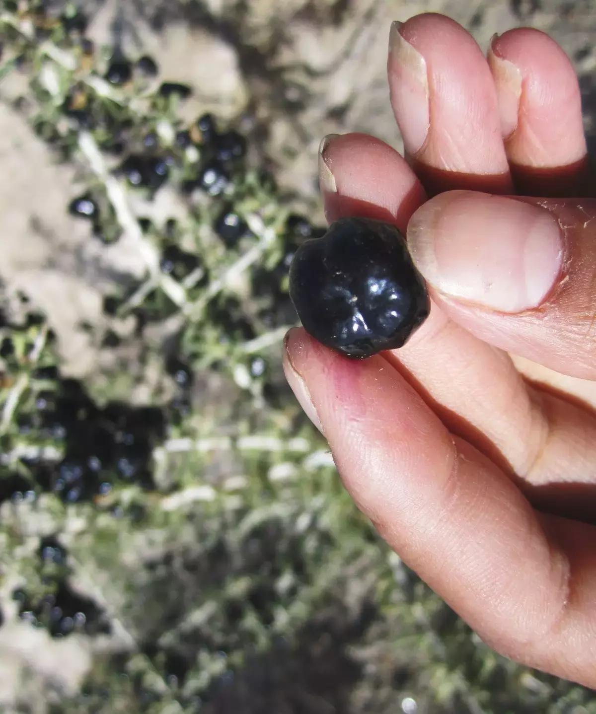 90后女生回到家乡创业,90后姑娘只身创业打拼