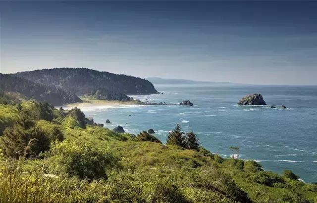 走进树林会感觉空气清新为什么呢,走进红杉林感受不一样