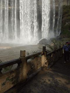 12月机票提前多少天订最便宜,每个星期哪天订机票最便宜