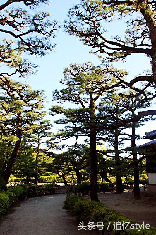 日本适合一个人散心的地方,日本有哪些值得思考的地方