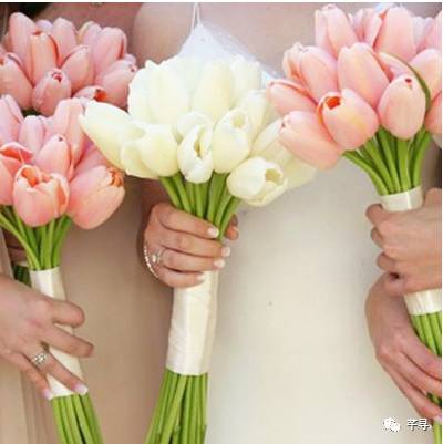 复古捧花品种,常见捧花品种