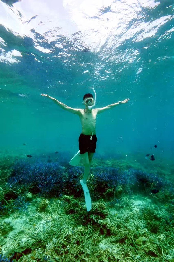 一起去帕劳旅游,去帕劳旅游自由行攻略