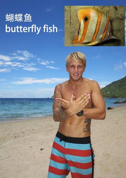 各种鱼的手势,海鱼表示动作词语