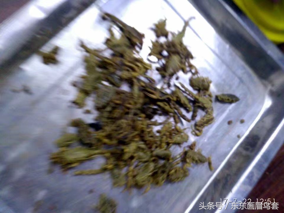 画眉鸟换毛期间喂什么活虫最好,画眉鸟换羽期要吃什么