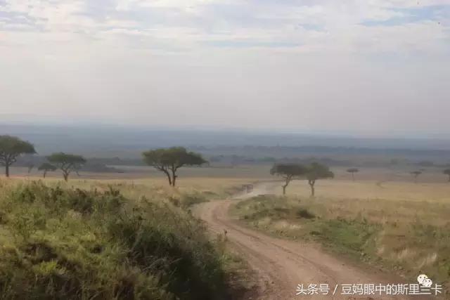 风动？树动？心动！致你，Kenya