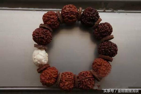 金刚菩提阴皮什么意思,金刚菩提子返碱的正确处理方法